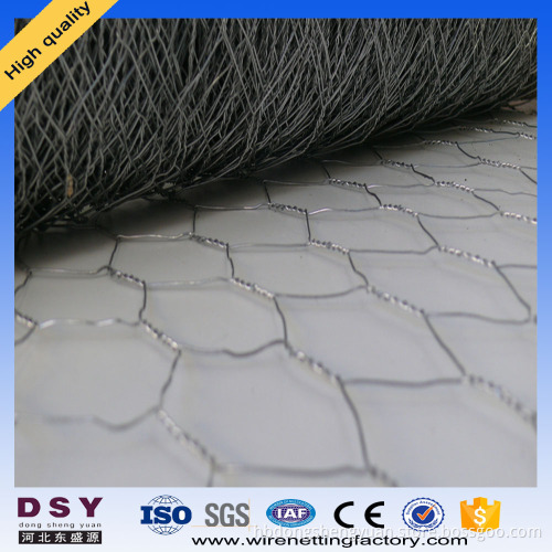 Galvanized Hexagonal Poultry Wire Mesh